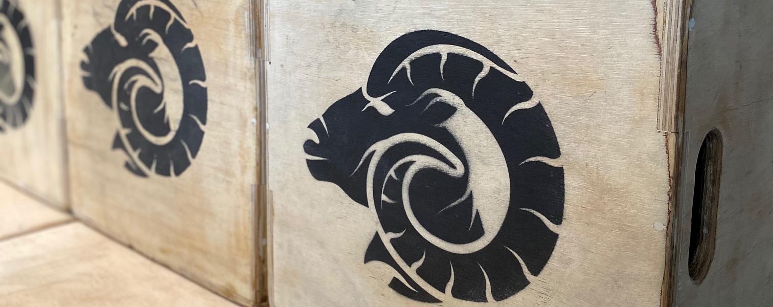 Page de planification | Brave Community Fitness